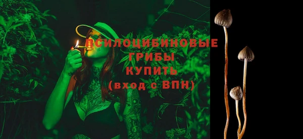 герыч Алзамай