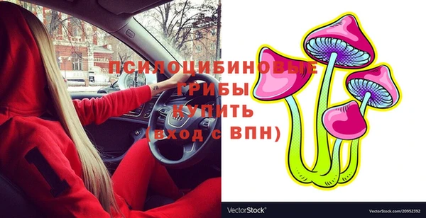 герыч Алзамай